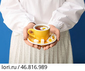 Прекрасная молодая женщина с чашкой ромашкового чая и цветами возле голубой стены. Стоковое фото, фотограф Pixel_shot / Фотобанк Лори