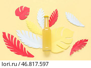 Композиция с бутылкой свежего содовой напитка и бумажными листьями на бежевом фоне. Стоковое фото, фотограф Pixel_shot / Фотобанк Лори