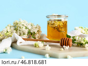 Банка меда с медовой ложкой и белыми сиренью на голубом фоне. Стоковое фото, фотограф Pixel_shot / Фотобанк Лори