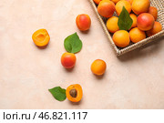 Корзина из ивового прута с свежими абрикосами на бежевом фоне. Стоковое фото, фотограф Pixel_shot / Фотобанк Лори