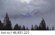 Mountain alps landscape with trees in fog clouds. Стоковое видео, видеограф Михаил Коханчиков / Фотобанк Лори