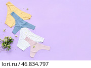 Набор стильных женских трусиков и ветвь расцветающего растения на цветном фоне. Стоковое фото, фотограф Pixel_shot / Фотобанк Лори