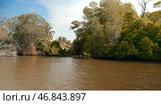 First person view from the boat floating on the river through mangroves in the wild tropical rainforest. Action. Green bushes and trees and dirty river. Стоковое фото, фотограф Данил Руденко / Фотобанк Лори