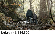 Hikers mother and child hiking up the extreme hill covered with tree roots at fall. Creative. Walking along the tall forest trees. Стоковое фото, фотограф Данил Руденко / Фотобанк Лори