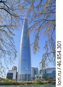 Lotte World Tower - 123-этажный небоскреб в Сеуле, Южная Корея. Стоковое фото, фотограф Римма Тельнова / Фотобанк Лори