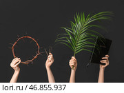 Женские руки с короной терновника, гвоздями, листом пальмы и Священной Библией на темном фоне. Концепция Великой Пятницы. Стоковое фото, фотограф Pixel_shot / Фотобанк Лори