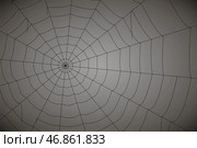 Concentric white web on a gray background. Стоковая иллюстрация, иллюстратор Vladislav_v / Фотобанк Лори