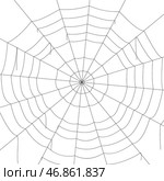 Сoncentric white web on a white background. Стоковая иллюстрация, иллюстратор Vladislav_v / Фотобанк Лори