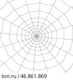 Сoncentric white web on a white background. Стоковая иллюстрация, иллюстратор Vladislav_v / Фотобанк Лори