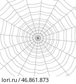 Сoncentric white web on a white background. Стоковая иллюстрация, иллюстратор Vladislav_v / Фотобанк Лори