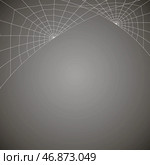 Concentric white web on a gray background. Стоковая иллюстрация, иллюстратор Vladislav_v / Фотобанк Лори