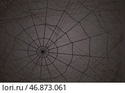 Concentric white web on a gray background. Стоковая иллюстрация, иллюстратор Vladislav_v / Фотобанк Лори