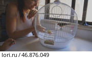 Woman feeding birds in cage with child. Стоковое видео, видеограф Константин Шишкин / Фотобанк Лори
