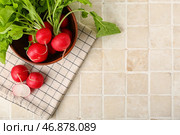 Чаша спелой редьки с зелеными листьями на фоне светлой плитки. Стоковое фото, фотограф Pixel_shot / Фотобанк Лори
