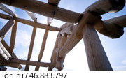 Construction of log house in beginning of construction on background of blue sky. Стоковое фото, фотограф David Kashakhi / Фотобанк Лори