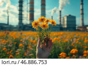 A hand holding a bunch of yellow wild flowers that look bright and fresh. Behind them is a flower field full of the same orange-yellow flowers. However, in the background is a large industrial plant with tall chimneys from which thick smoke rises. The contrast between nature and industrialization creates a deep meaning - the struggle between ecology and industrial development, a reminder of the fragility of nature in a world of technology. Стоковое AI-изображение, AI-художник Анна Кривицкая / Фотобанк Лори
