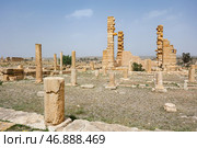Remains of central part of ancient Roman temple with columns old town Sufetula, Стоковое фото, фотограф Яков Филимонов / Фотобанк Лори