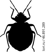 Black Bedbug isolated on white background. Bedbug silhouette, Handdrawn Bedbug silhouette illustration. Стоковая иллюстрация, иллюстратор Мария Паина / Фотобанк Лори