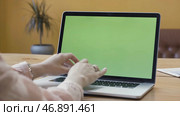 Female hands typing on a laptop keyboard, chromakey business, communication, freelance and internet concept. Стоковое фото, фотограф David Kashakhi / Фотобанк Лори