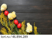Покрашенные пасхальные яйца, мимоза и пушистые цыплята на темном деревянном фоне. Стоковое фото, фотограф Pixel_shot / Фотобанк Лори