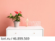 Цветок антуриума, деревянный манекен и надпись ДОМ на комоде возле цветной стены. Стоковое фото, фотограф Pixel_shot / Фотобанк Лори
