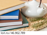 Стопка книг, чайник и еловые ветки на плетеной циновке, крупным планом. Стоковое фото, фотограф Pixel_shot / Фотобанк Лори