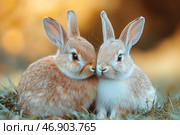 Two adorable rabbits sitting next to each other on the grass, snuggling their muzzles. Their soft, fluffy fur of light red and white shades shimmers against the warm diffused light. The background is blurred, creating a sense of coziness and naturalness. The rabbits look very cute, friendly and touching, conveying an atmosphere of tenderness and harmony. Стоковое AI-изображение, AI-художник Анна Кривицкая / Фотобанк Лори