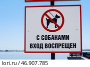 Знак - табличка информационная С собаками вход воспрещен с изображением собаки на поводке в красном перечеркнутом круге (2024 год). Стоковое фото, фотограф Евгения Золкина / Фотобанк Лори