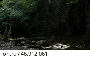 View inside of green jungles, concept of travelling and wild nature. Стоковое фото, фотограф David Kashakhi / Фотобанк Лори