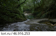 Small overgrown trees in greenery located next to a bubbling pond. Стоковое фото, фотограф David Kashakhi / Фотобанк Лори