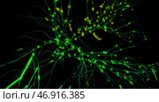 Visualization og neuronal activity in the brain, neurogenesis, neurotransmitters, electricity in the brain, synapses. Стоковая иллюстрация, иллюстратор David Kashakhi / Фотобанк Лори