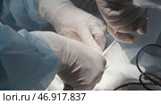 Surgeon's hands with assistant operate on patient. Стоковое фото, фотограф David Kashakhi / Фотобанк Лори