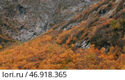 Rocky slope of mountain descends into wooded area. Стоковое фото, фотограф David Kashakhi / Фотобанк Лори