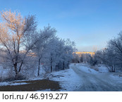 Зимний пейзаж: Деревья в инее в Орске. Стоковое фото, фотограф Николай Рыбин / Фотобанк Лори