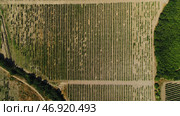 Aerial top view from flying drone of a land with sown green fields in countryside in spring day. Стоковое фото, фотограф David Kashakhi / Фотобанк Лори
