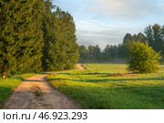 The country road to the Mikhailovskoye estate along the Festive glade on the territory of the Pushkin Museum-Reserve on a sunny summer day, Pushkinskiye Gory, Pskov region, Russia. Стоковое фото, фотограф Ula Ulachka / Фотобанк Лори