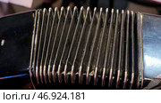 Old musical instrument Russian bayan - button accordion close-up. Стоковое фото, фотограф David Kashakhi / Фотобанк Лори