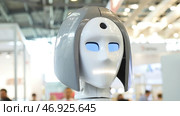 Robotic of a human like droid robot. Стоковое фото, фотограф David Kashakhi / Фотобанк Лори