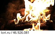 Burning wood in the fire. Стоковое фото, фотограф David Kashakhi / Фотобанк Лори