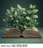 An open old book from which green plants literally sprout. Their leaves grow luxuriantly, creating the effect of a combination of knowledge and nature. The background is kept in soft green tones, in harmony with the color of the plants. The composition symbolizes growth, development, eco-thinking and the connection between nature and knowledge. It can be a metaphor for the idea that knowledge feeds growth and evolution, just as plants grow from the soil. Стоковое AI-изображение, AI-художник Анна Кривицкая / Фотобанк Лори