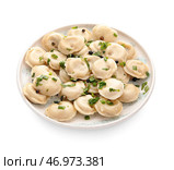 Тарелка с вкусными варениками на белом фоне. Стоковое фото, фотограф Pixel_shot / Фотобанк Лори