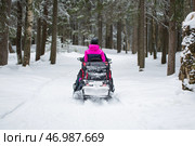 People ride a snowmobile in winter in the forest. Стоковое фото, фотограф Александр Поташев / Фотобанк Лори