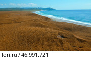 Aerial of autumn yellow grass and the blue sea coast. Стоковое фото, фотограф David Kashakhi / Фотобанк Лори