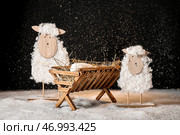Игрушечное овечка и деревянный ясли с манекеном младенца на снегу на черном фоне. Концепция рождественской истории. Стоковое фото, фотограф Pixel_shot / Фотобанк Лори