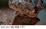 Close up of copper material. Стоковое фото, фотограф David Kashakhi / Фотобанк Лори