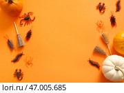 Хэллоуинская композиция с конфетными насекомыми, метлами и тыквами на оранжевом фоне. Стоковое фото, фотограф Pixel_shot / Фотобанк Лори