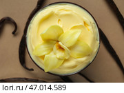 Чаша вкусного пудинга с цветком и ванильными палочками на цветном фоне. Стоковое фото, фотограф Pixel_shot / Фотобанк Лори