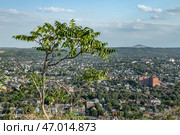 Панорамный вид на город Пятигорск с горы Машук. Panoramic view of Pyatigorsk. Ставропольский Край. Северный Кавказ. Россия (2023 год) Стоковое фото, фотограф Юлия Кутыгина / Фотобанк Лори