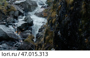 Flowing cold mountainous river on an autumn day. Стоковое фото, фотограф David Kashakhi / Фотобанк Лори