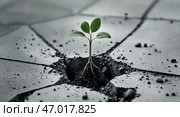 Struggle of life revealed through a green plant growing in cracked concrete during daylight. Стоковое AI-изображение, AI-художник Сергей Толмачёв / Фотобанк Лори